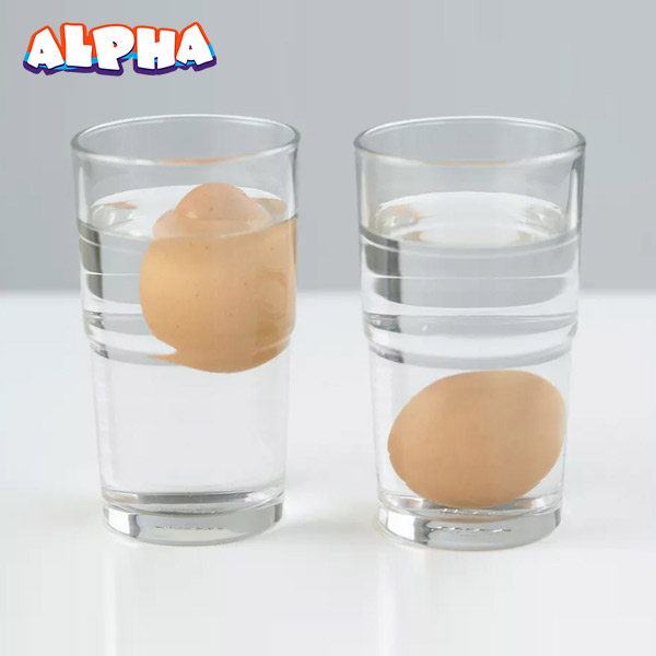 Alpha science classroom：Salt water density science experiment for kids