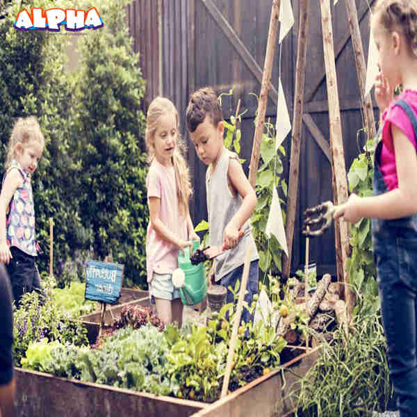 Alpha science toys：10 benefits of plant growing kit for children's growth