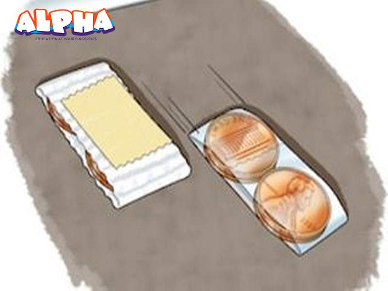 Alpha Science Classroom: Tell Children How Landslides Are Caused