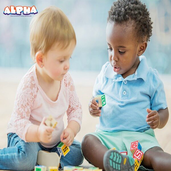  Alpha Science Classroom: Selecting Appropriate Educational Science Toys for Young Children in the Digital Era